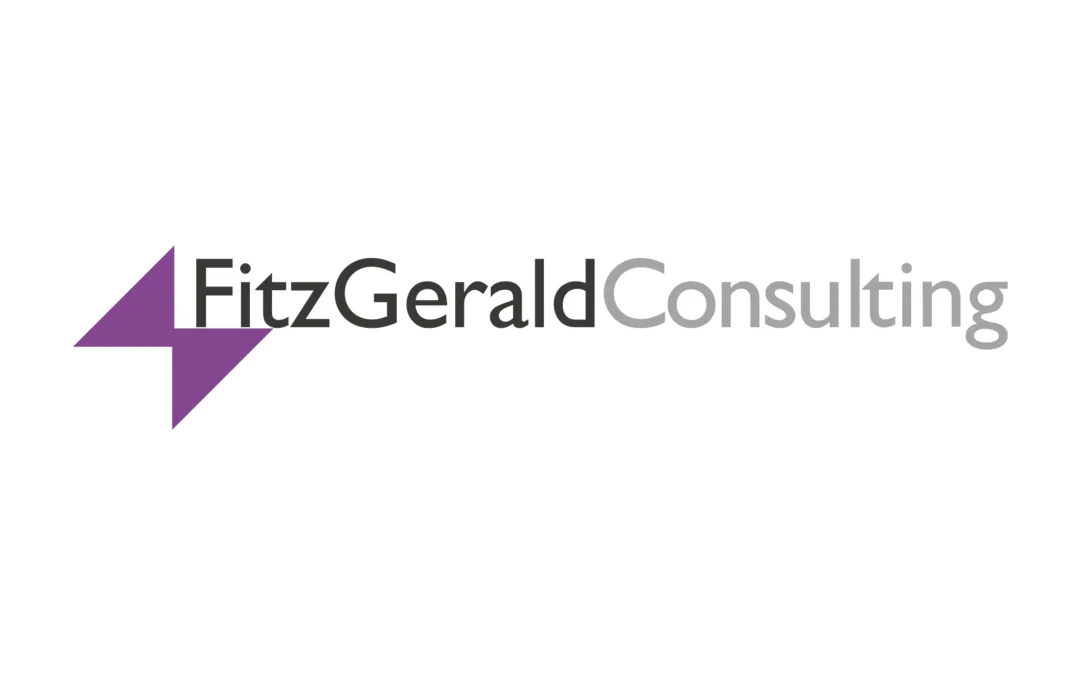 fitzgeraldconsulting.es