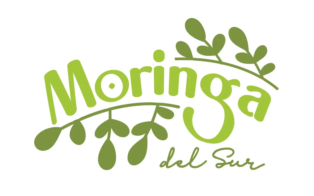 Moringa del Sur
